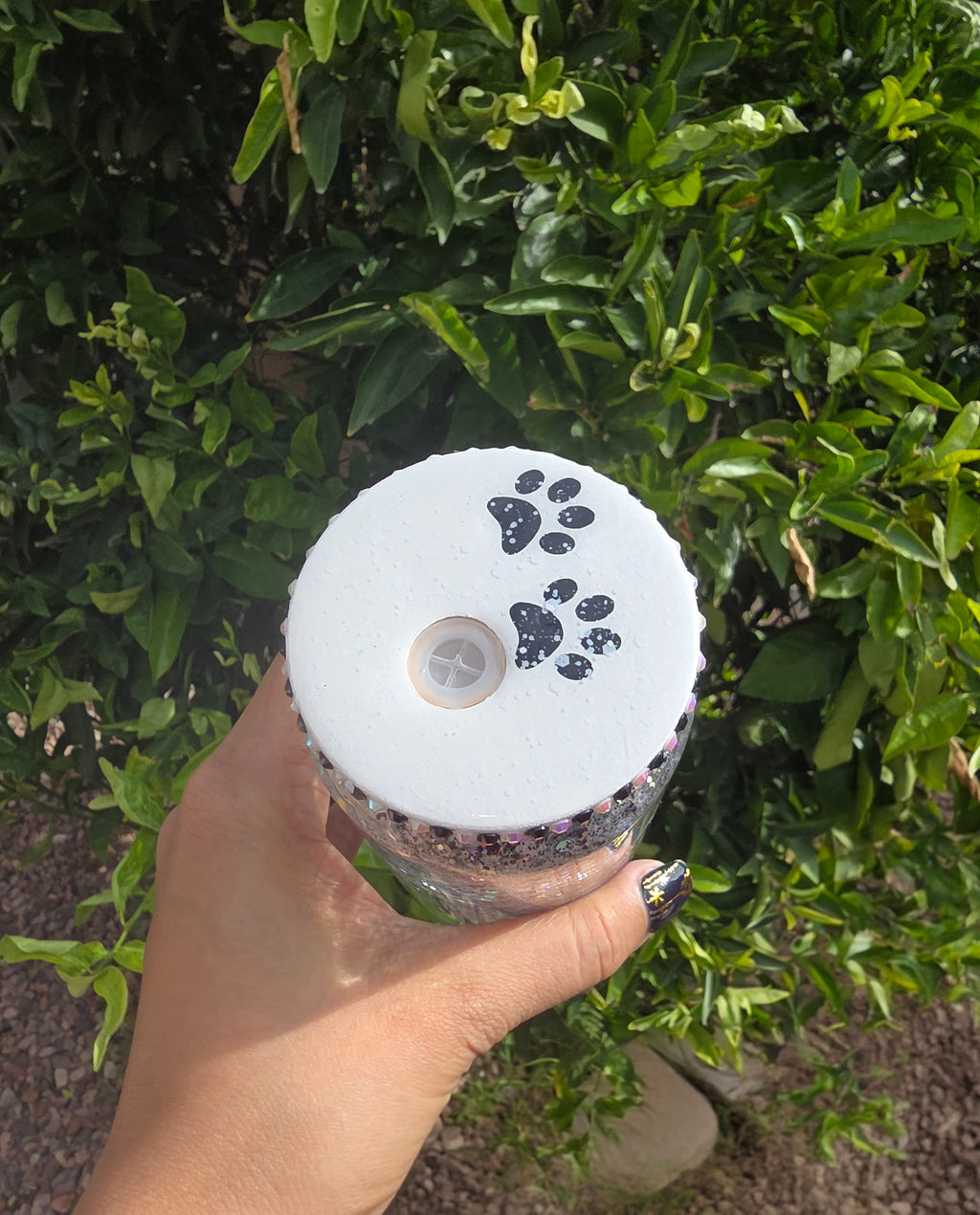 Dogs are my favorite people